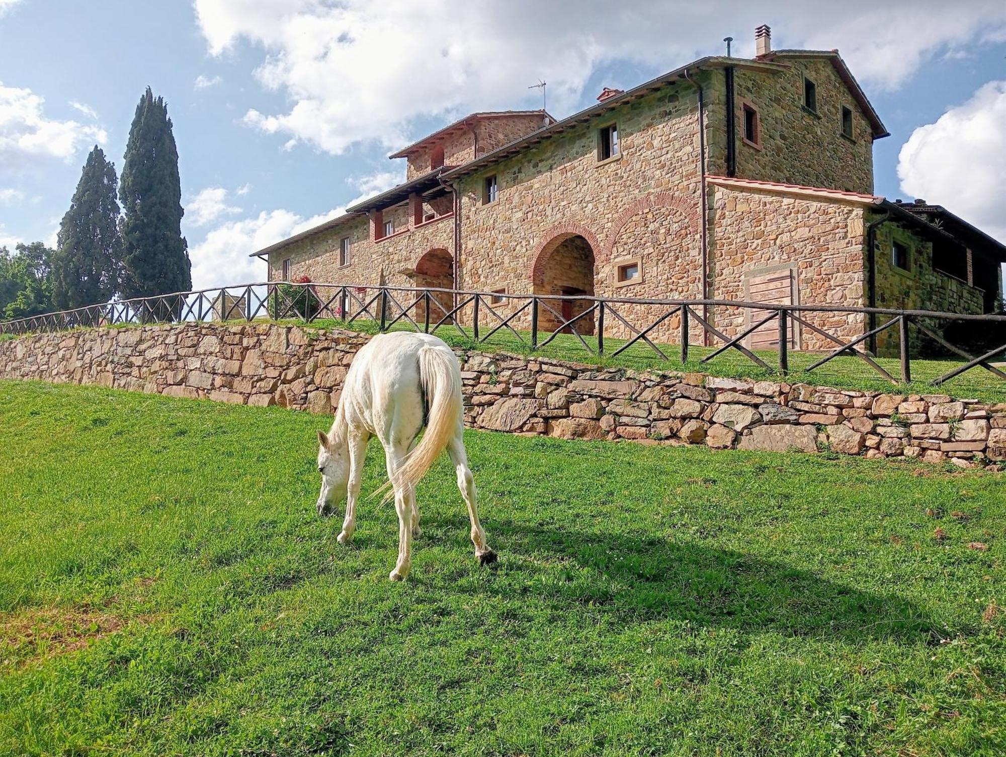 Villa Antico Casale Di Ferdinandi Bibbiena